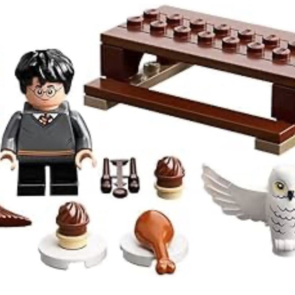 LEGO 30420 Harry Potter & Hedwig: Owl  Factory Sealed